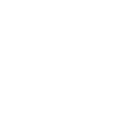 feature-icon